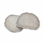 White  Crystal Agate Coaster With Silver Plating Set Of 02